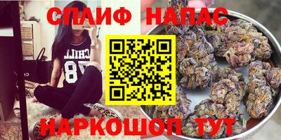 индика Аша